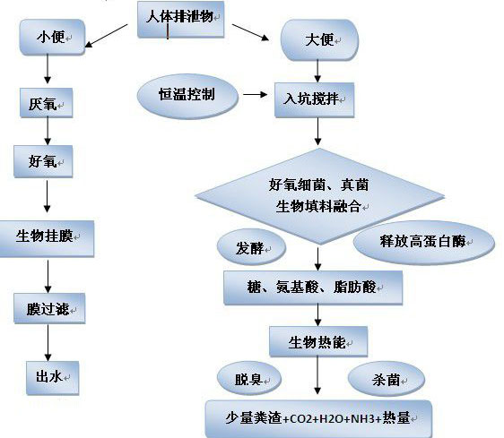 生態廁所功能效果圖